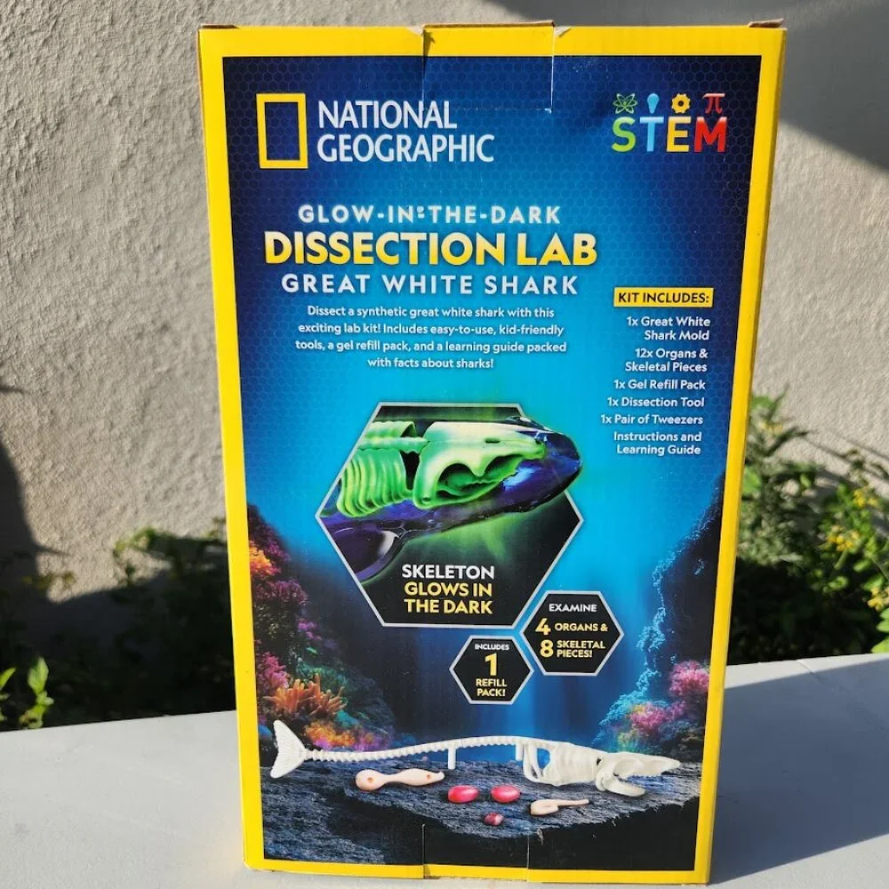 National Geographic Shark Dissection Kit Glow in The Dark Great White Shark Anat